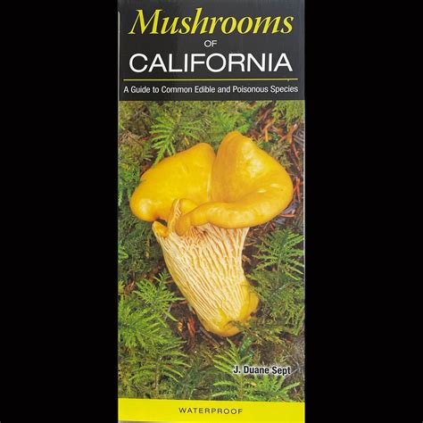 Field Guides - Mushrooms | HARDY CALIFORNIANS