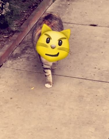 Snapchat’s new feature lets you insert emojis into your real-world videos