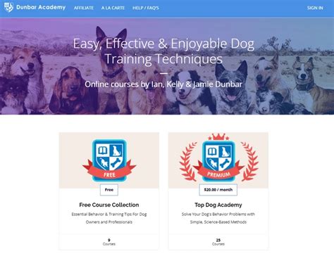 Image result for Building a Thinkific Course