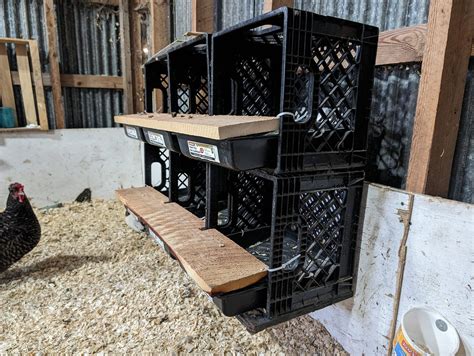 50 surprising chicken nesting box ideas – Artofit