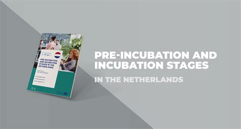Pre-incubation and Incubation Stages in The Netherlands – ILA