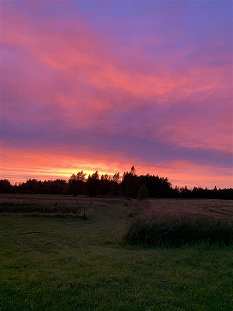 Pixabay Free High Resolution 的图像结果