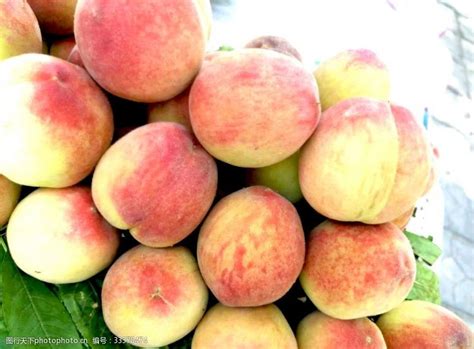 [红桃批发]红桃 物美价廉，个大味甜价格1.3元/斤 - 惠农网