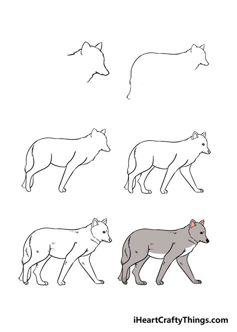 How to draw a wolf Easy wolf - Maxresdefault how to draw a wolf drawing