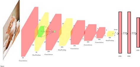 Training large Deep Neural Networks