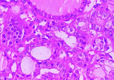 Image result for Microscope Slide View