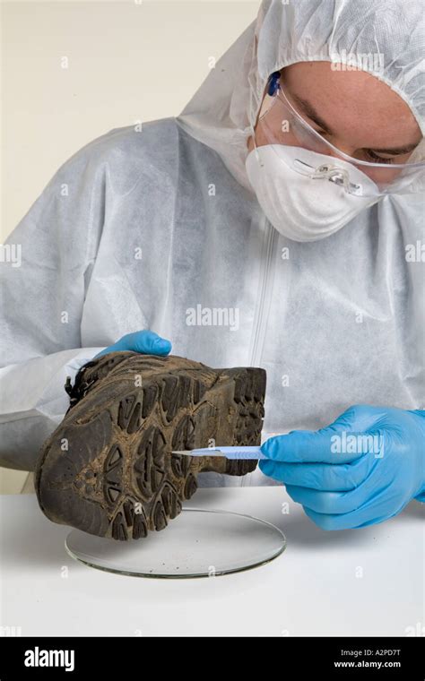 Image result for Soil Evidence Collection