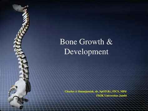 Bone Development Algorithm 的图像结果