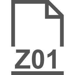 Image result for Z01 File