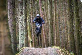 Photos - Roots & Rain