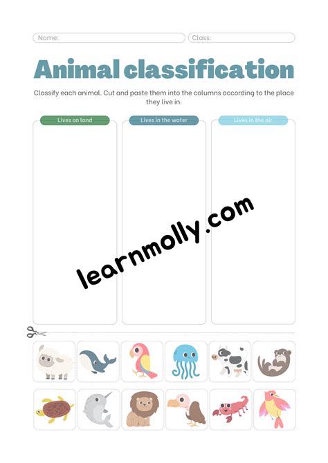 Land/ Water/ Air Animals worksheet – Ask Molly