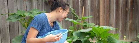 Rooted in Science – Sorgen.Co