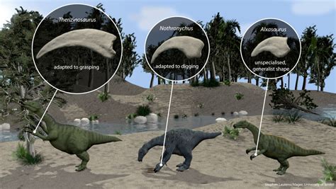 Topo 的图像结果