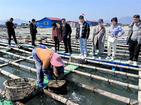 霞浦：多方面打造茶业公共品牌 促进国内茶叶市场消费