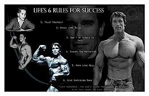 BALDAU PRINTS Arnold Schwarzenegger Wall Poster For Room (Gloss ...