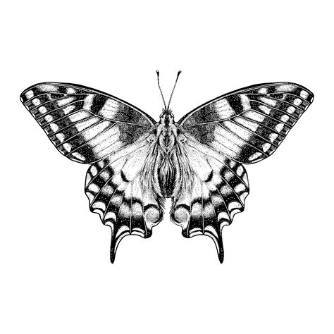 Image result for Butterfly Leg Work Tutorial