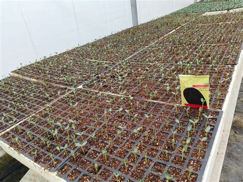 Krishi Vigyan Kendra Unnao