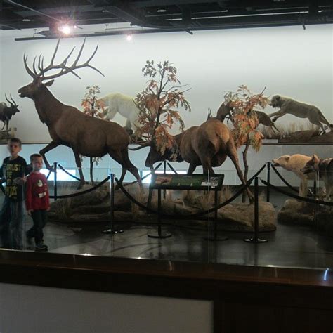 BEAN LIFE SCIENCE MUSEUM AT BYU (2025) All You Need to Know BEFORE You ...