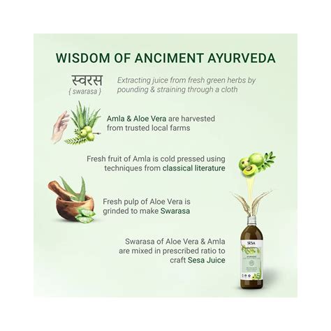 Sesa Ayurvedic Aloe Vera and Amla Juice 1L - Cureka - Online Health ...