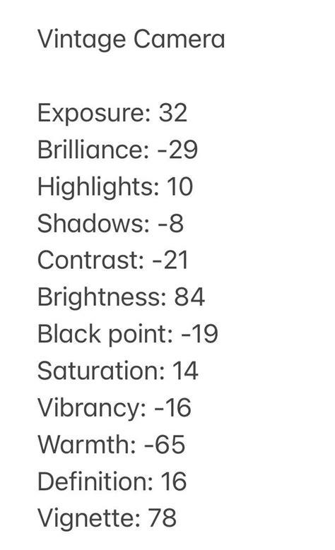 Image result for Retro Camera UI Filter