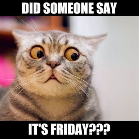 34 Hilarious Friday Memes To Laugh Your Way Into the Weekend