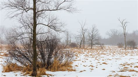 Download wallpaper winter, field, snow, section nature in resolution ...