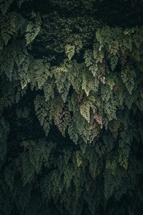 Python Back End Development 的图像结果