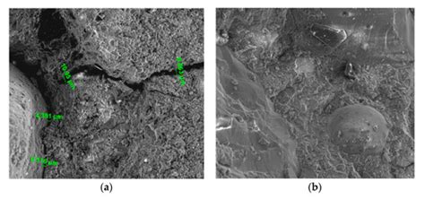 A Review on the Application of Nanocellulose in Cementitious Materials