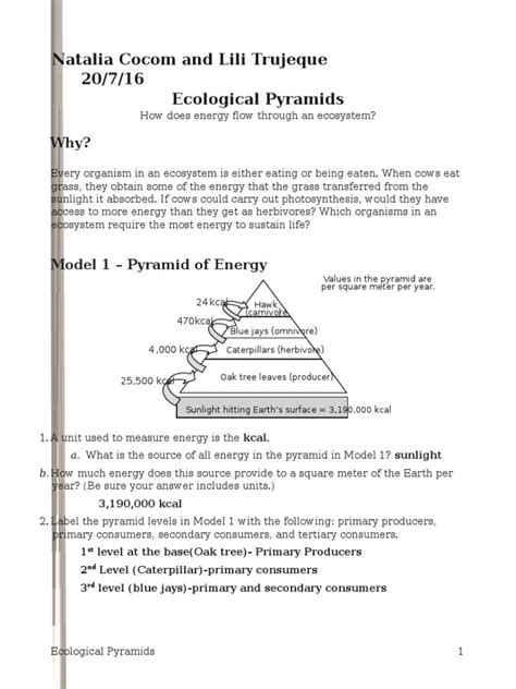 Image result for Ecological Pyramids Worksheet Answer Key