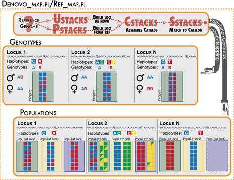 Image result for Scripts Stacks