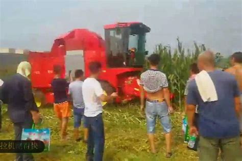 邻居新买了玉米摘棒收割机，在地里收玉米，村里人都来看_凤凰网视频_凤凰网