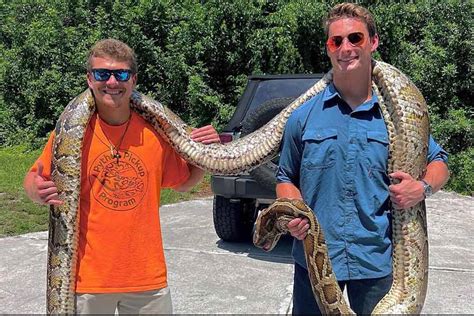 18 Foot Python 的图像结果