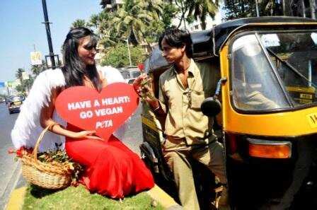 PETA campaign | Page 599 | The Times of India
