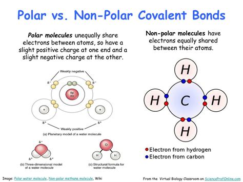 Water Polar Or Nonpolar