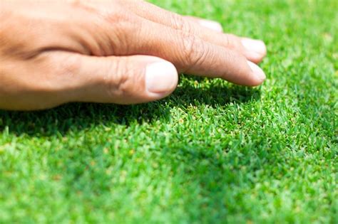 Touching Grass Tutorial 的图像结果