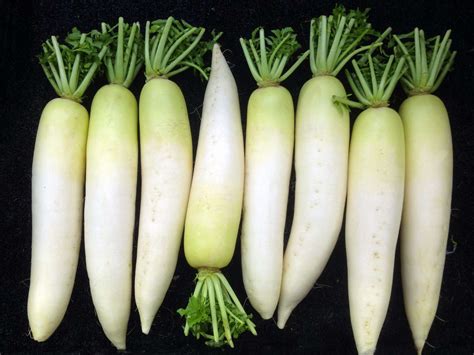 What Is Daikon and How Do You Use It?