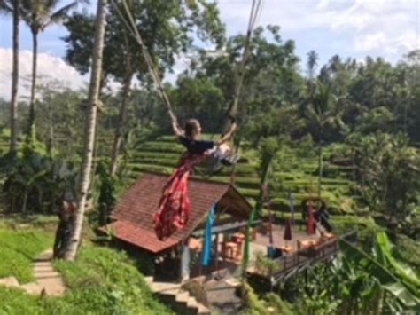 Tegalalang Riding Adventure - 2022 What to Know Before You Go (with ...