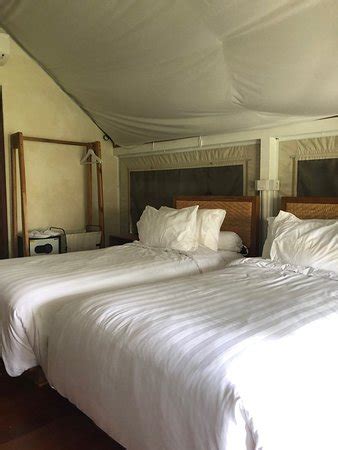 OAK TREE GLAMPING RESORT (Batu) - Cottage Reviews, Photos, Rate ...