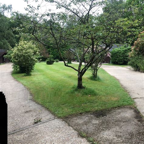EVERSLEIGH WOODLAND LODGES (Shadoxhurst) - Lodge Reviews & Photos ...