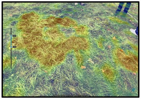 A Controlled Experiment to Test the Efficacy of Ground-Penetrating ...