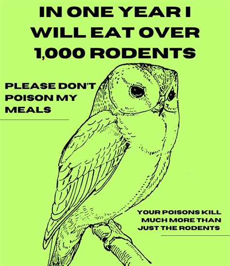 Local Food Movement 的图像结果