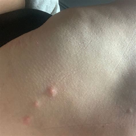 COACH HOUSE INN (Tobermory, Ontario) - Motel Reviews & Photos - Tripadvisor