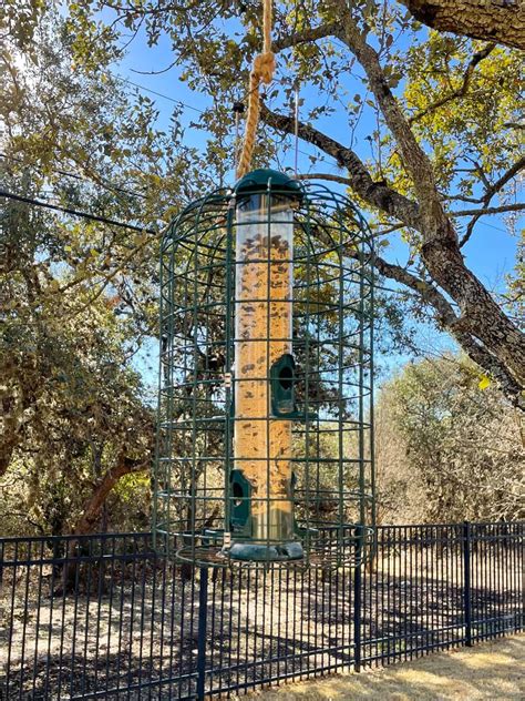 Certified wildlife habitat yard – Artofit