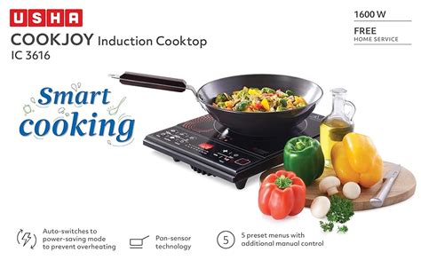 Buy Usha Cook Joy (3616) 1600-Watt Induction Cooktop (Black) pack of 2 ...