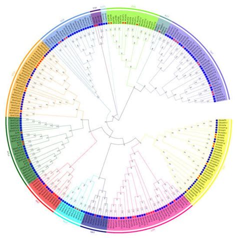 Genome-Wide Analysis of AAT Genes and Their Expression Profiling during ...