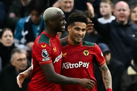 Image result for Wolves Live Today