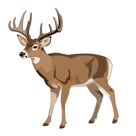 Deer Svg Hunting Svg File Buck Clipart Head Silhouette Clip Art File ...