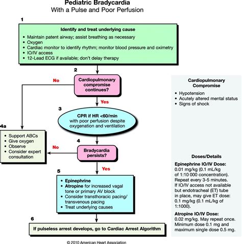 Image result for Pediatric Pals Algorithm
