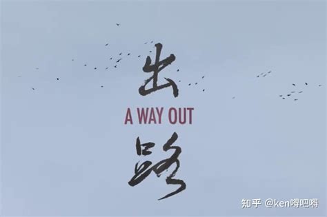 纪录片导演：《郑琼》《出路》#原创剪辑 #影视解说-影视综视频-搜狐视频