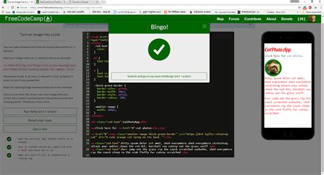 Image result for Freecodecamp 12 HTML Guide